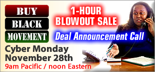 Cyber Monday 1-Hour Blowout Sale Conference Call