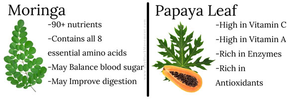 Info about Motherland's Gold Moringa Papaya Tea